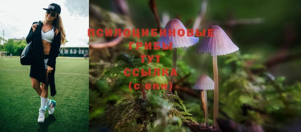 тгк Богданович