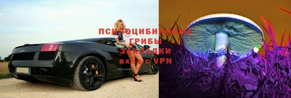 Альфа ПВП Богородск