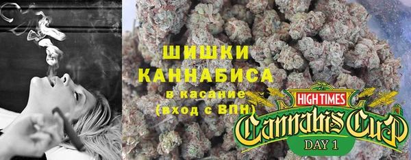 тгк Богданович