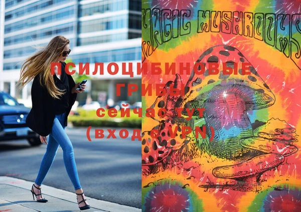 тгк Богданович