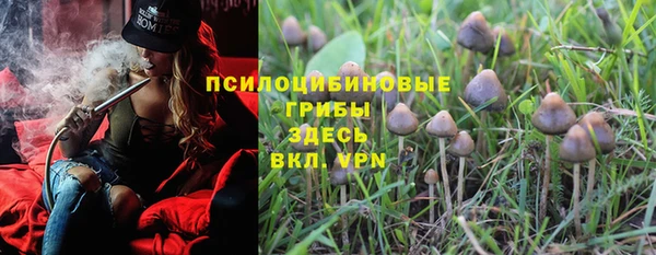 apvp Богородицк